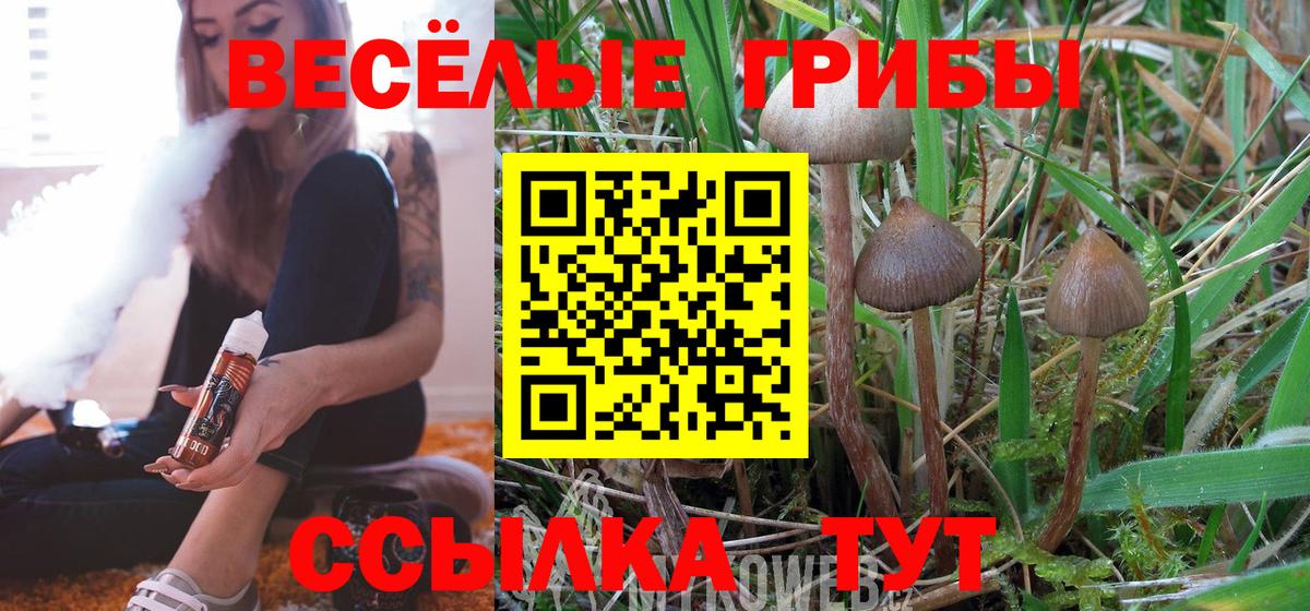 Псилоцибиновые грибы GOLDEN TEACHER  Псилоцибиновые грибы Psilocybe  Богородск  Вход с VPN 