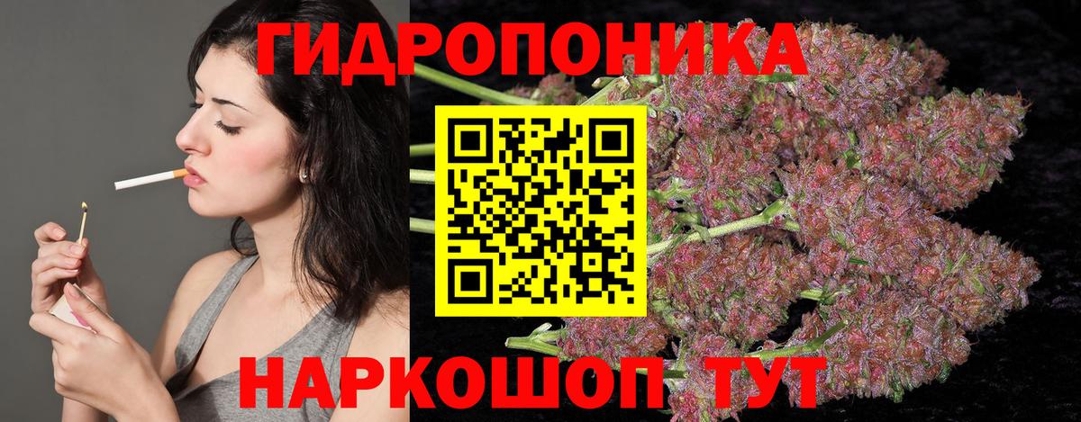Богородск  Шишки марихуана White Widow  Вход с VPN  МАРИХУАНА THC 21% 